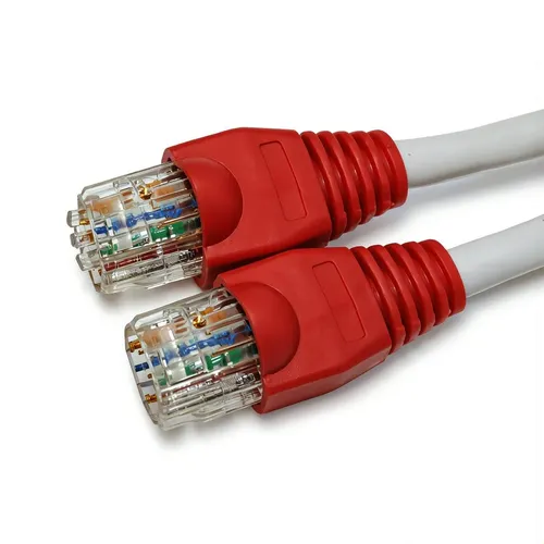 Terminal de Red+capuchon Rj45